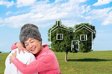 上线仅两周 AR游戏《皮克敏Bloom》下载量超过200万